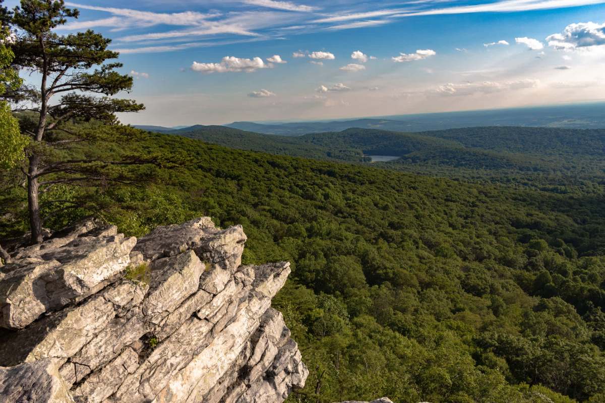 The ban of a harmful pesticide was a key factor.