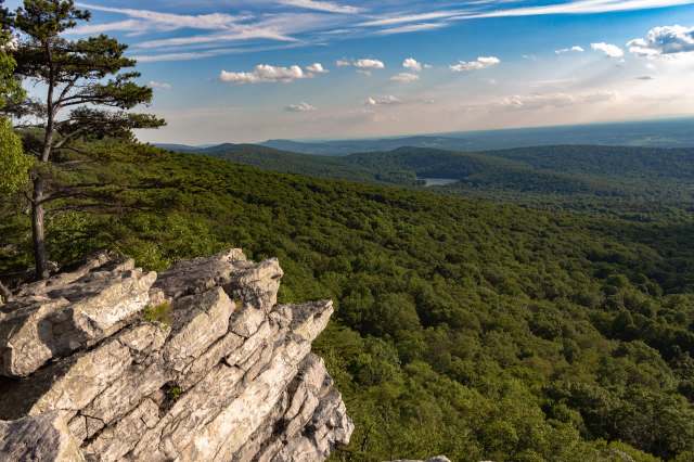 The ban of a harmful pesticide was a key factor.