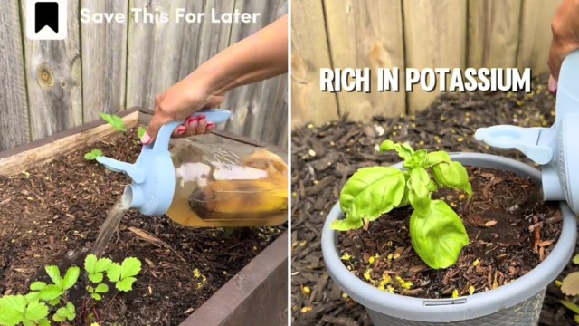 "Definitely going to try."