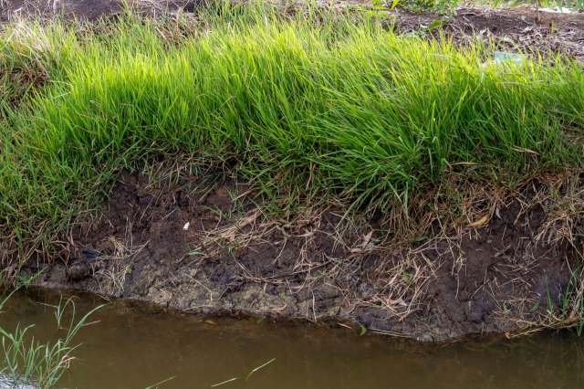 "This is amazing news."