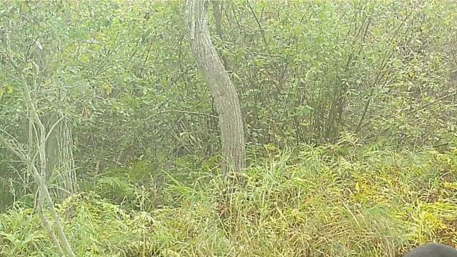 "We were just kinda speechless."