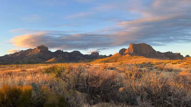 The research team has been tracking this comeback, and this current finding is particularly good news.