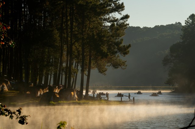 Black panthers are apex predators.
