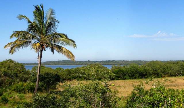 "This is a significant conservation success."