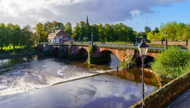 "Each hatching represents a real chance to reverse the fate of this species."