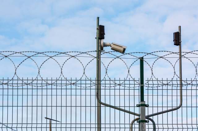 The area is home to a diverse ecosystem.