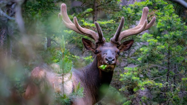 "Idiocy never ceases to amaze me."