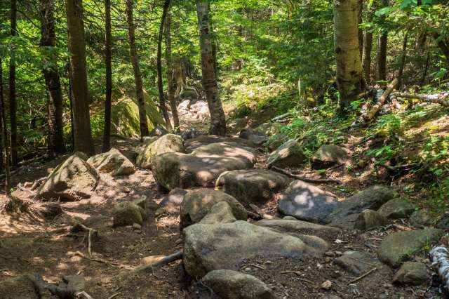 The situation highlighted the important role that trail cameras play.