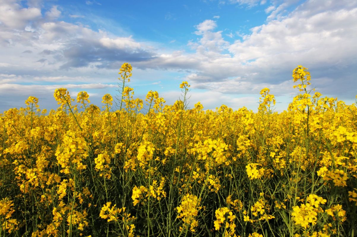 Regulations are finally catching up to science.