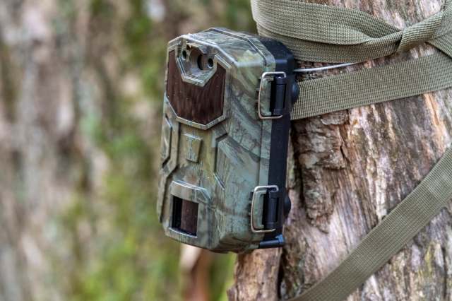 These remote tools allow experts to monitor species health and track recovery without disturbing wildlife.