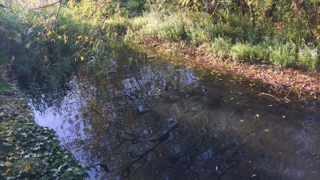 "Why would they do that?"