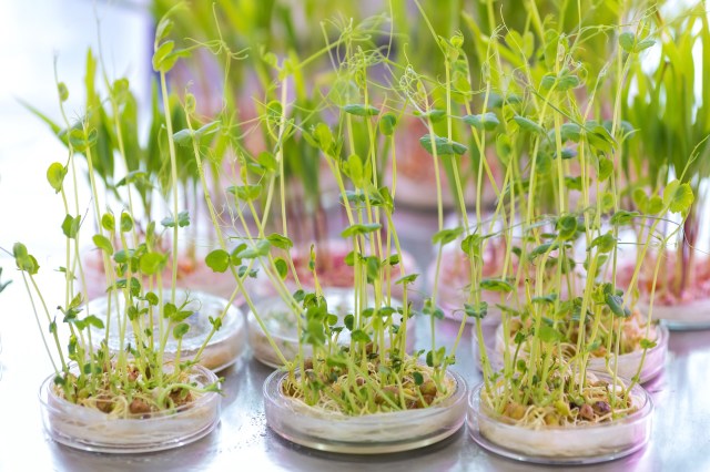 "This research provides a powerful foundation."