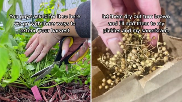 "I'll take any advice you've got please and thank you."