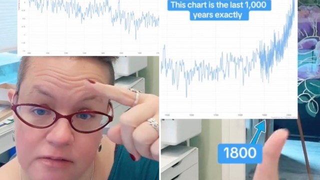 "Immediately disregarded."