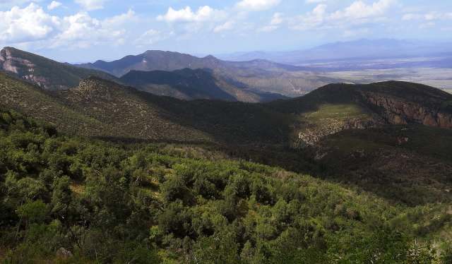 "We encourage people ... to be aware of their surroundings and not attempt to engage any wild animal."