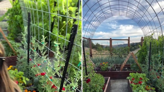 People in the comments loved the tips.