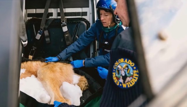 "Markers of the success."