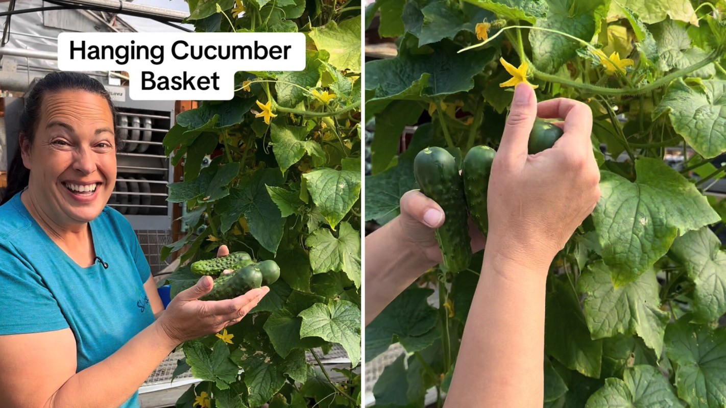 "Ohhh, I like this."