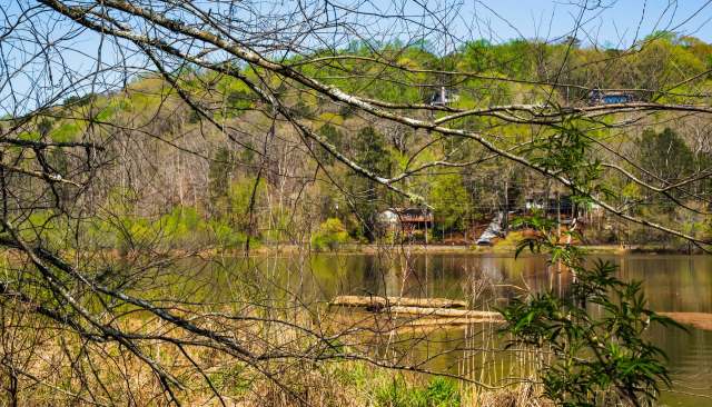 For this deer, the story had a happy ending.