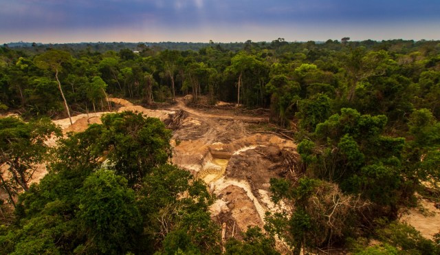 "Its approval is a tragedy."