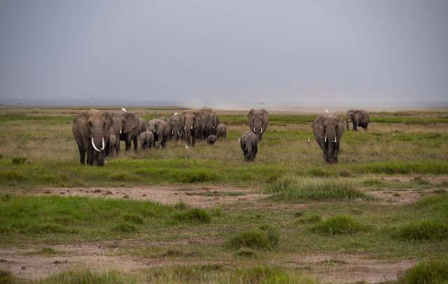 "This isn't just pollution but a threat to biodiversity."