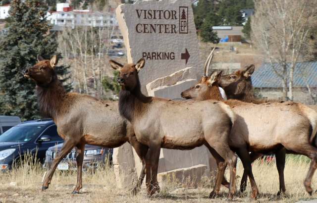 Unfortunately, this is not an isolated incident.