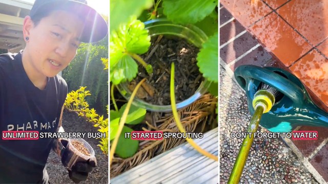 "I'm going to make so many!"