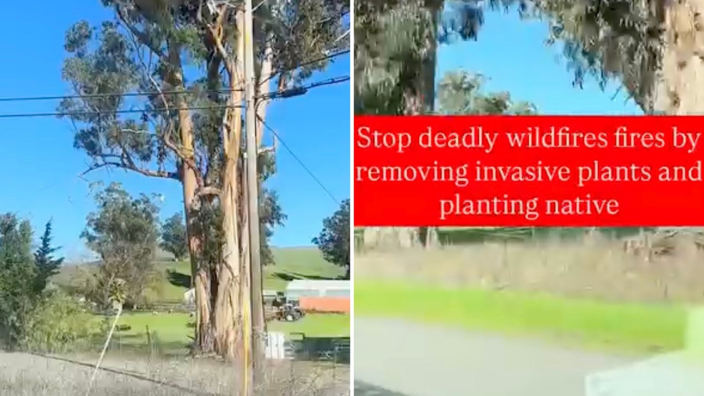 "Should be gotten rid of."