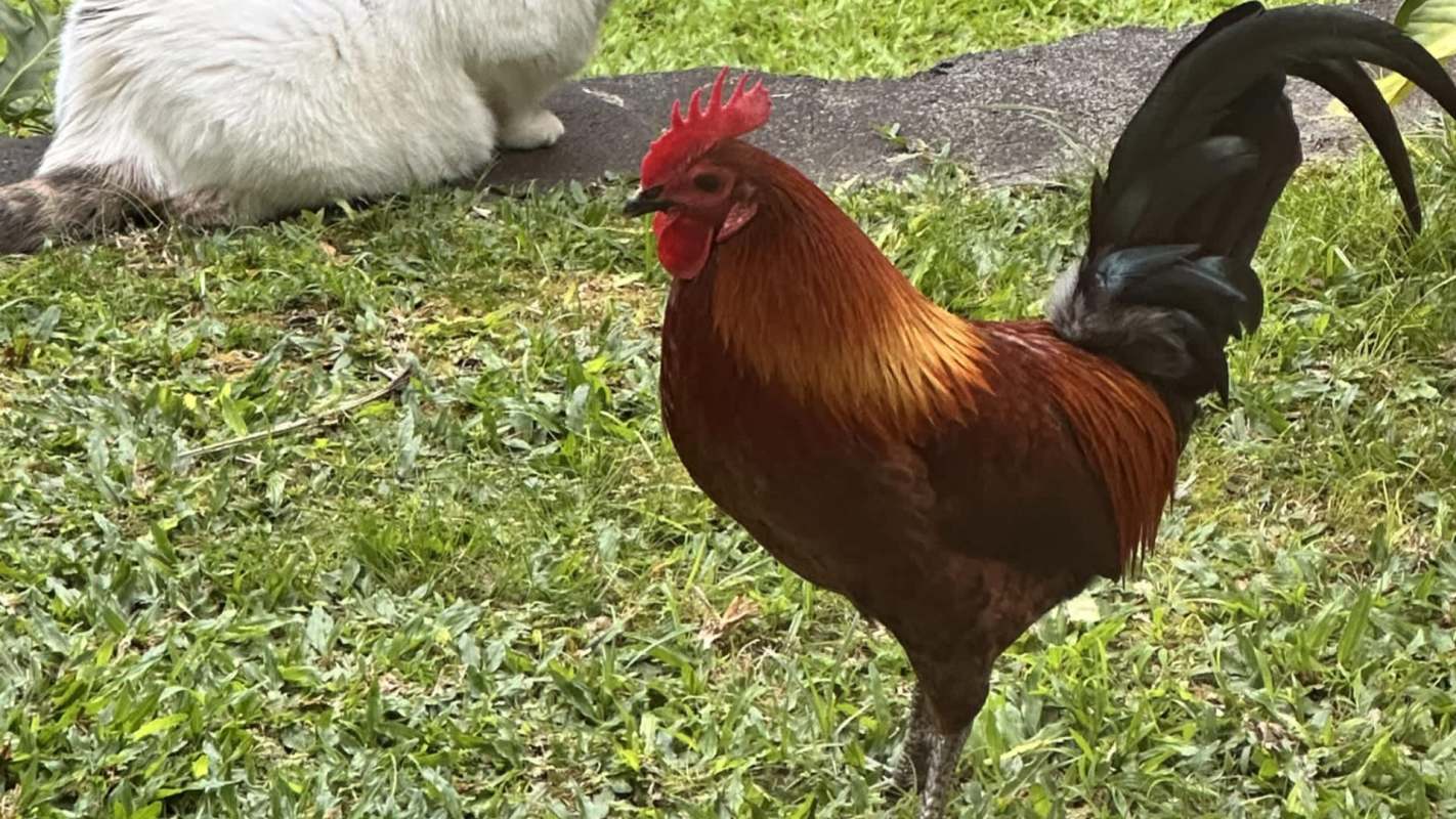 "Some people have no consideration for life whatsoever."