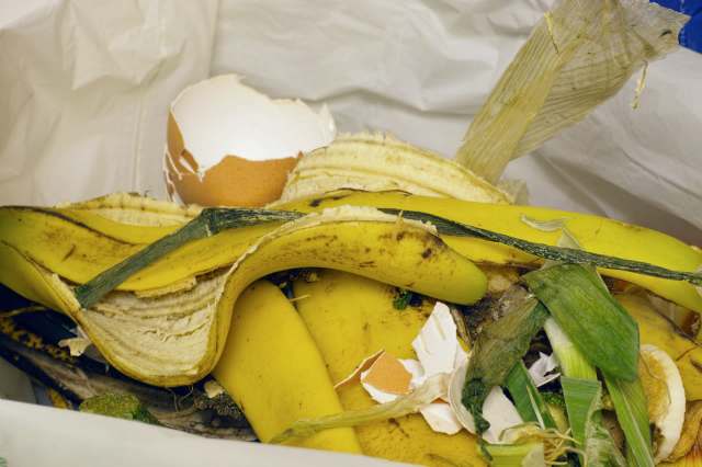 "The need is real — and the appreciation is real."