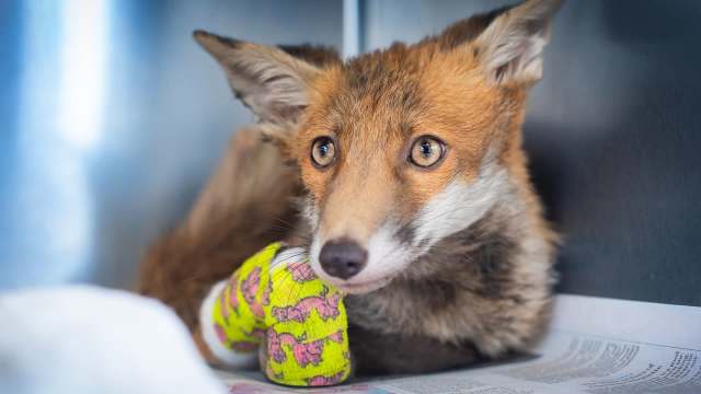 "You’re then left wondering what you can do."