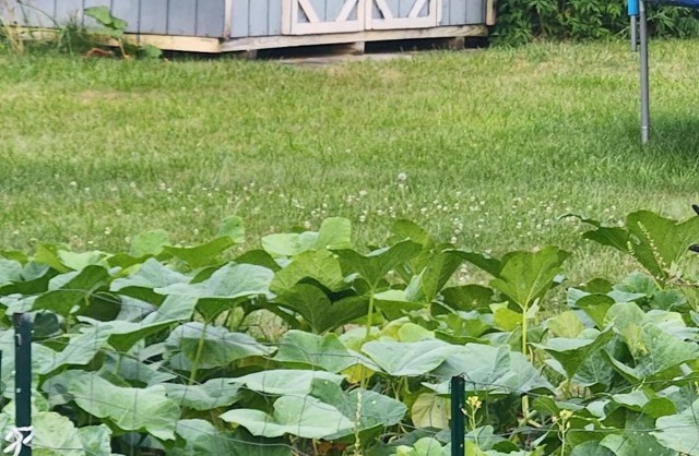 "Glad you could provide a snack."