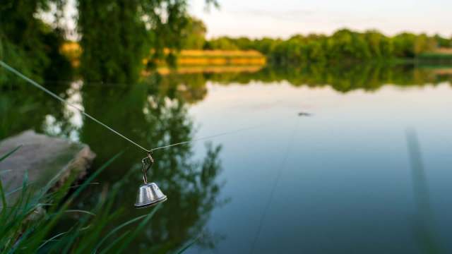 The decision came amid a surge in foreign visitors.