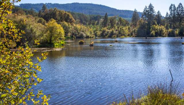 Birders and biologists were excited, waiting to see what would happen.