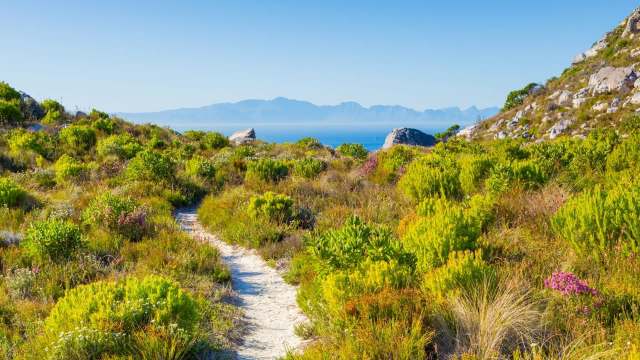 Bringing back species from the brink is challenging work.