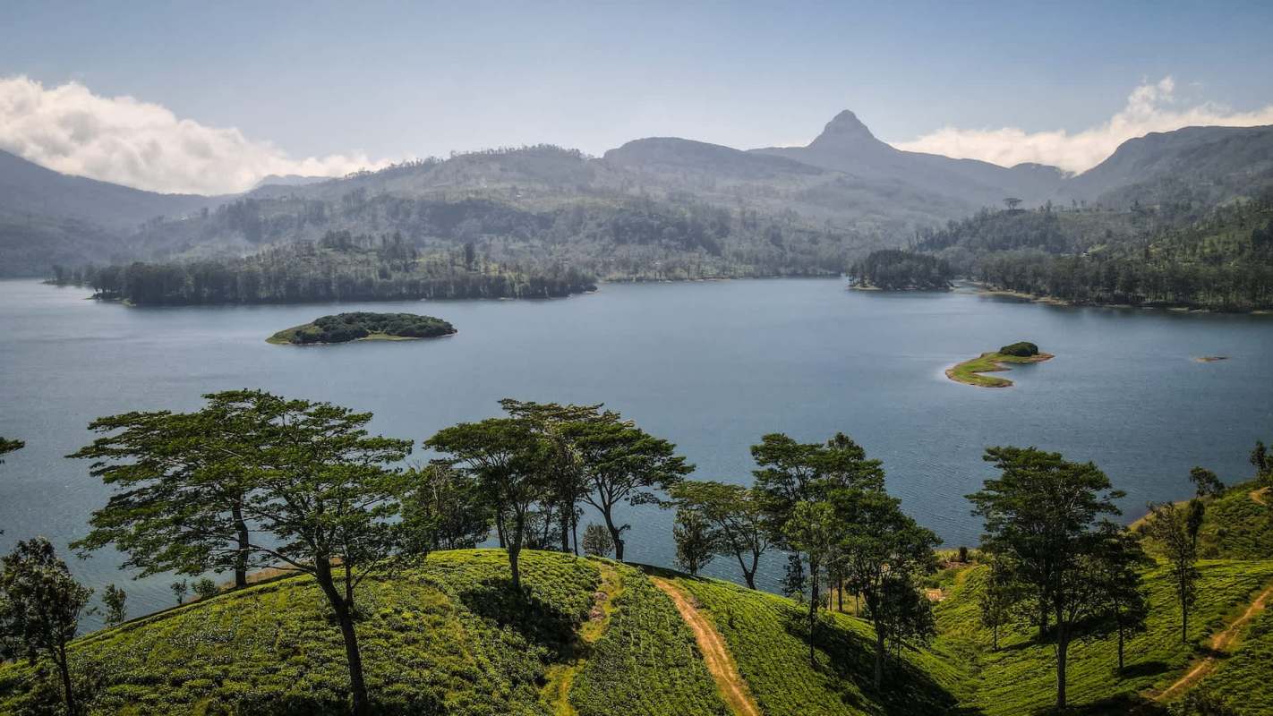 Scientists believe these aggressive predators entered waterways through aquarium releases.