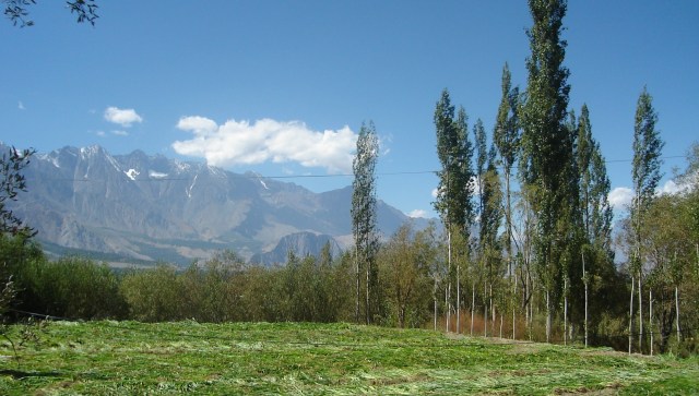 "You don't expect the lake to turn on you."
