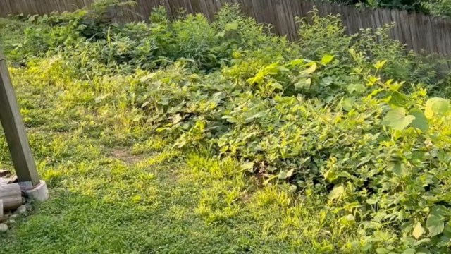 Commenters were amazed.