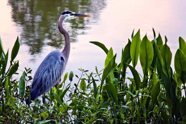 "The prognosis is good."