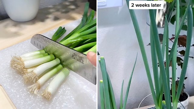 "My favorite method."