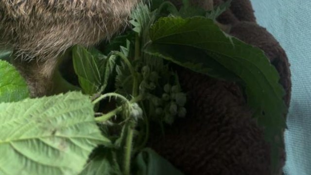 Farmers often witness firsthand the delicate balance between nature and agriculture.