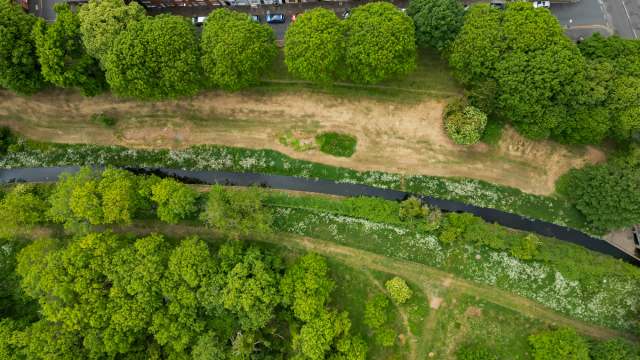 The animal's population suffered a huge decline at the beginning of the 21st century.