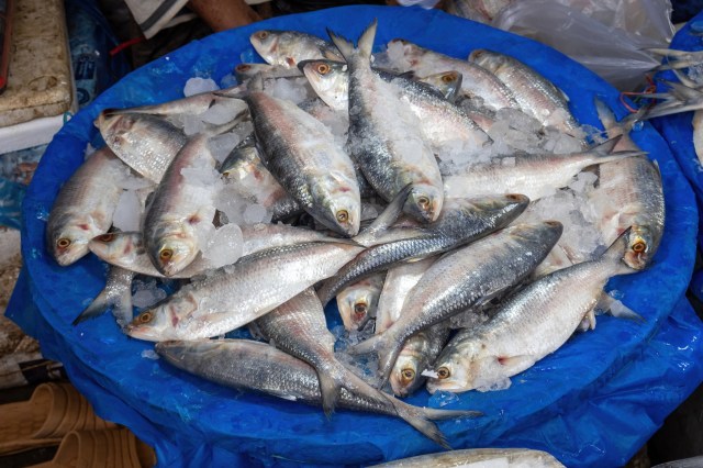 This isn’t the first time researchers have raised red flags about this kind of issue.