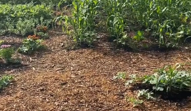 "This is so inspirational."