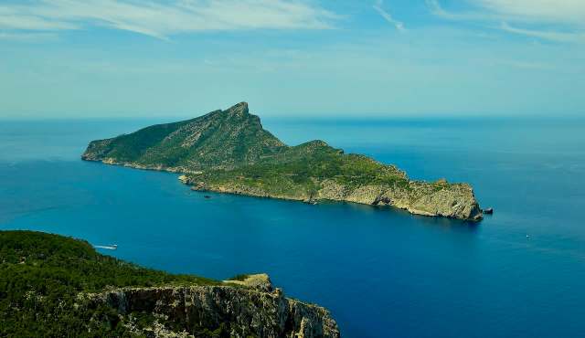 "All traps will be regularly monitored by trained technicians and discreetly placed away from public paths."