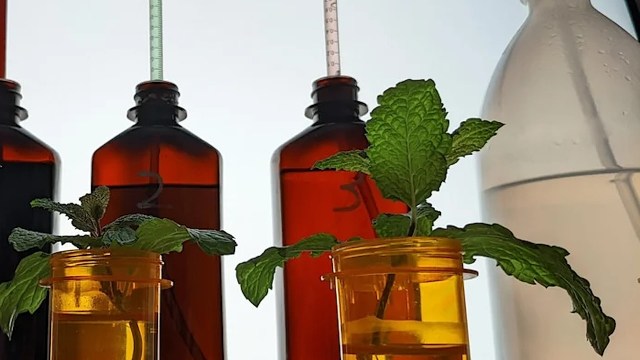 The comment section on the Reddit post was filled with support and uplifting comments.