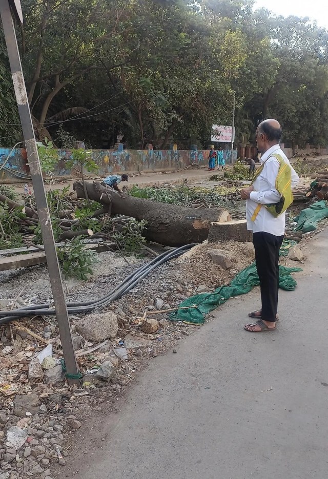 "Who needs it, right?"