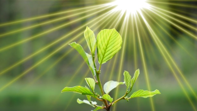 "Extremely efficient."