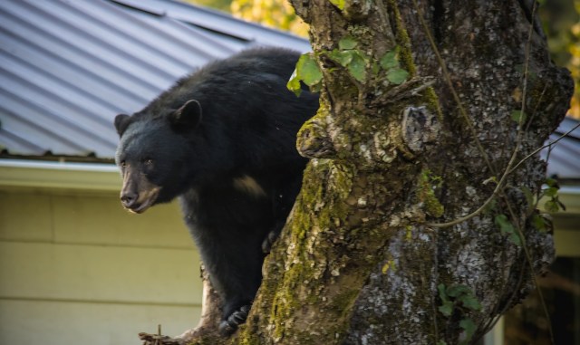 Encounters like this one may seem funny at first, but they're also reminders.