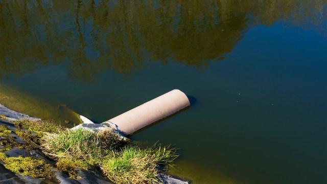 "What would happen if we lost? We would still be poisoned for the rest of our lives, and then have to pay for it."